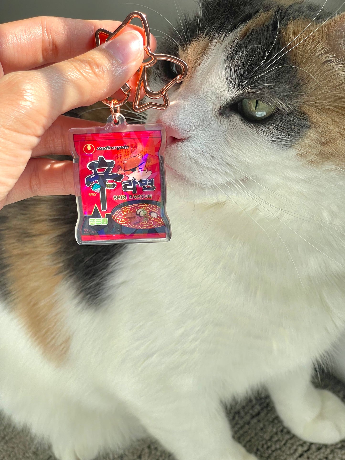 Ramen Holographic Charm